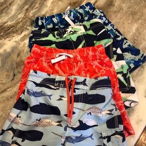 4 pairs of boys size 4 & 4T swimming trunks!